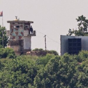 kuzey koreden bas dusmana yillar sonra ilk zeytin dali yddFzuQq