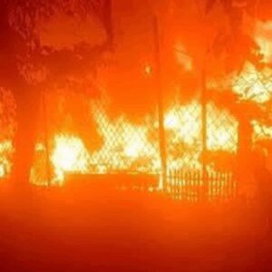 sinoptaki orman yangini kontrol altina alindi Vbcyxq1p