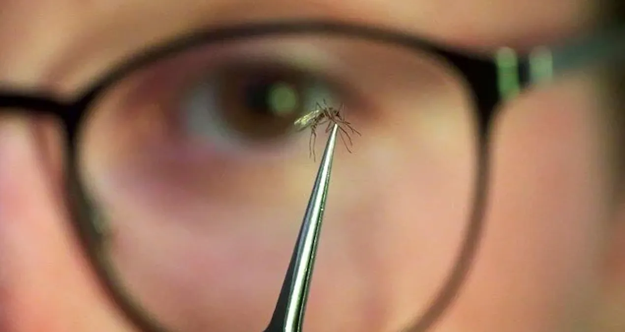 cinde yayilmaya baslayan salgin dunyayi endiselendiriyor KpS3MJ8s