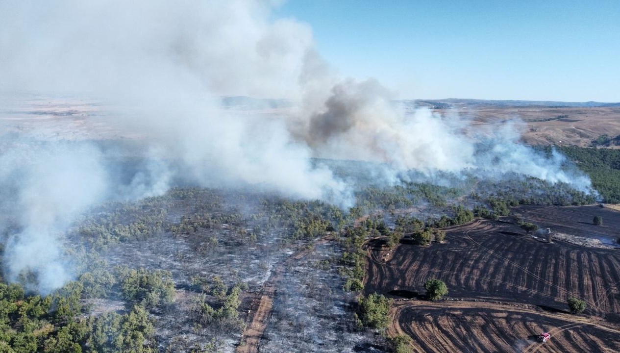 corumda arazi yangini ormanlik alana sicradi NqAqWO6Q