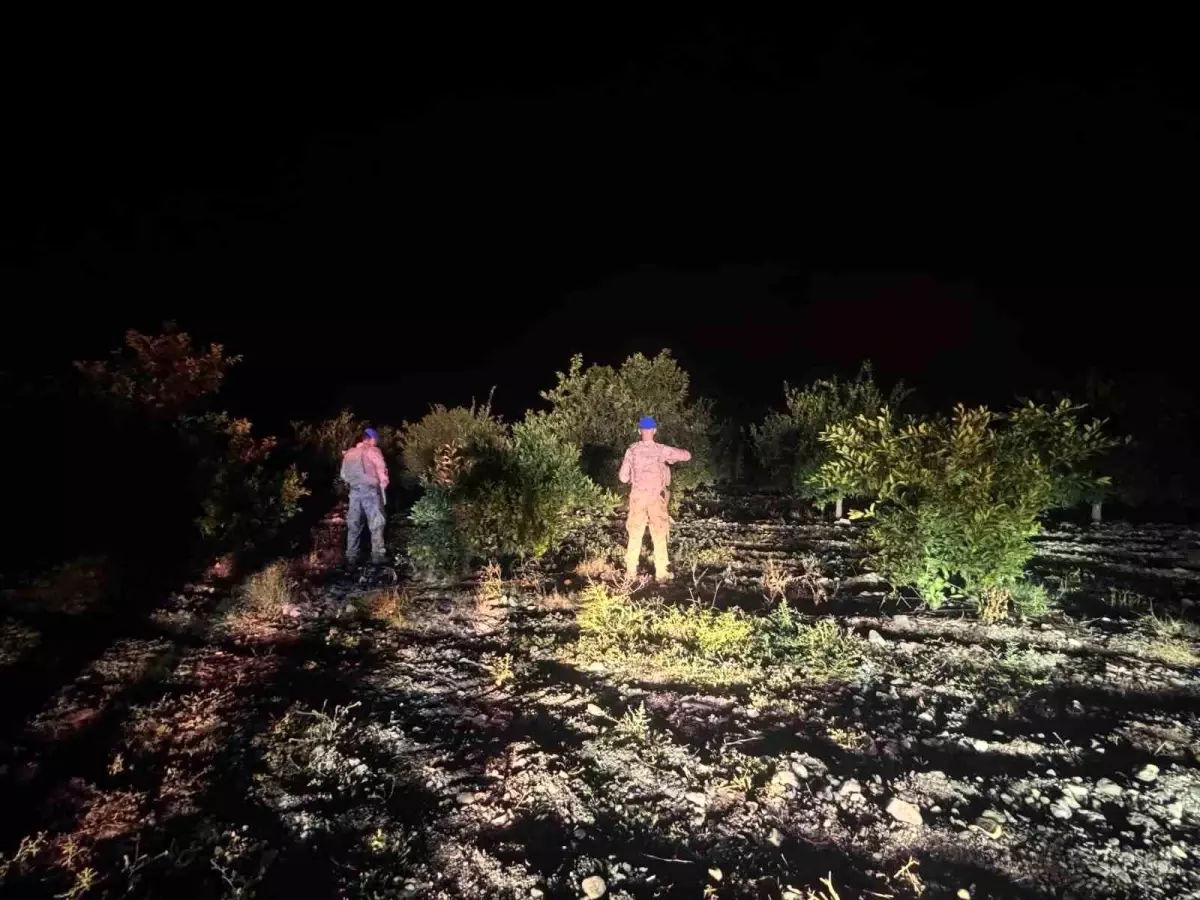 erzinde narenciye hirsizligina karsi guvenlik onlemleri 9qGtJ9fp