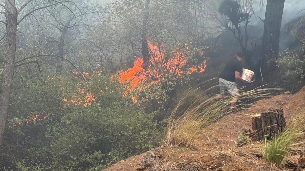 koycegizde orman yangini 173 kisi tahliye edildi JvqRbuJX