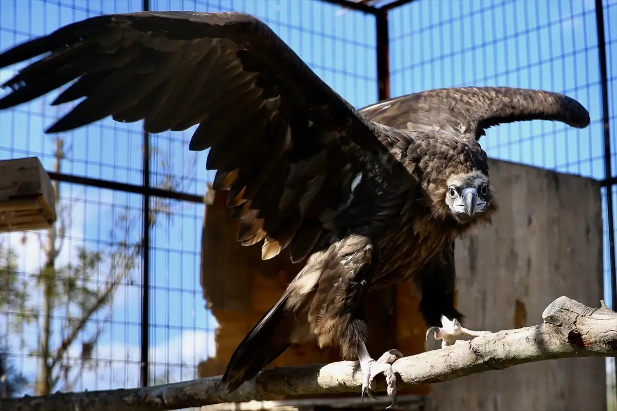 sakaryada lise ogrencileri meslek secimlerini saha gozlemleriyle sekillendiriyor T2fNGfKt