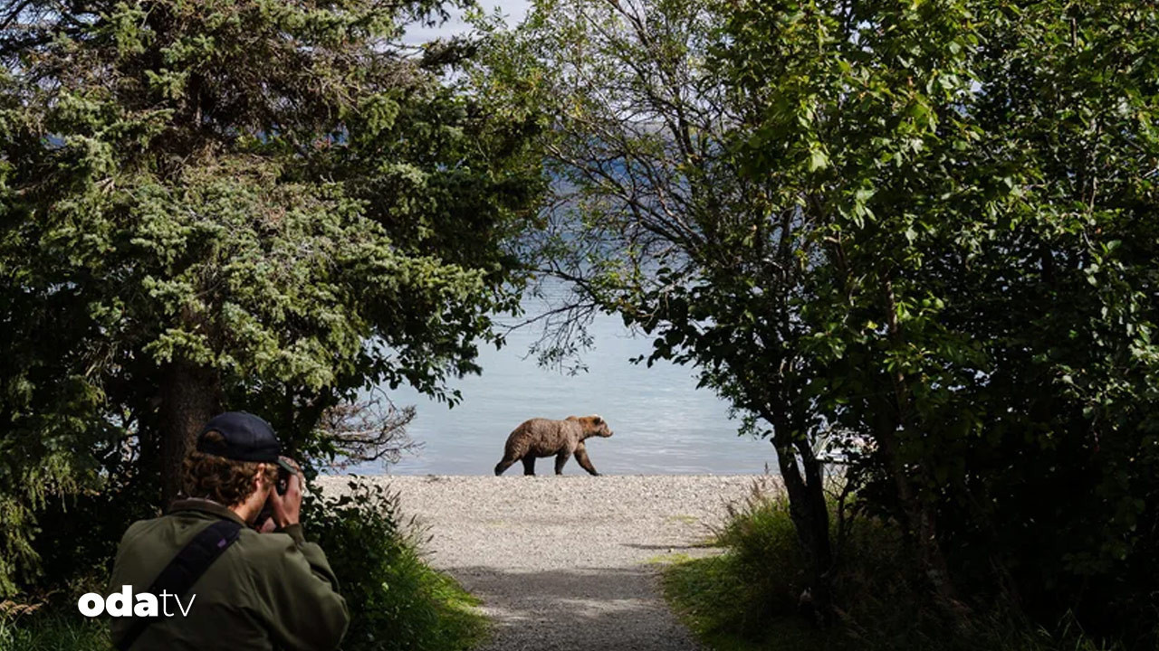 sisman ayi haftasi basladi alaska sampiyonunu ariyor 4miRy9IP