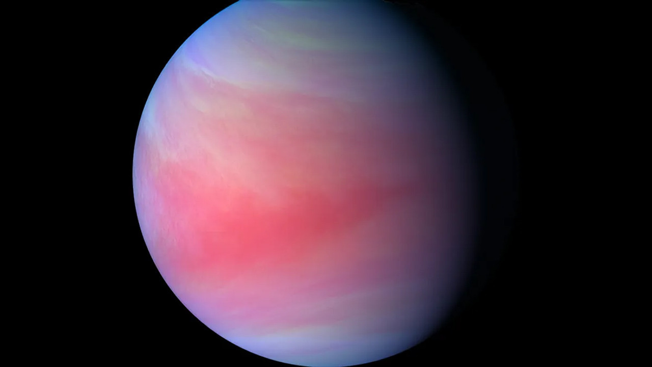 venusun tek sakini akatsuki icin yolun sonu geldi pJiguUYu