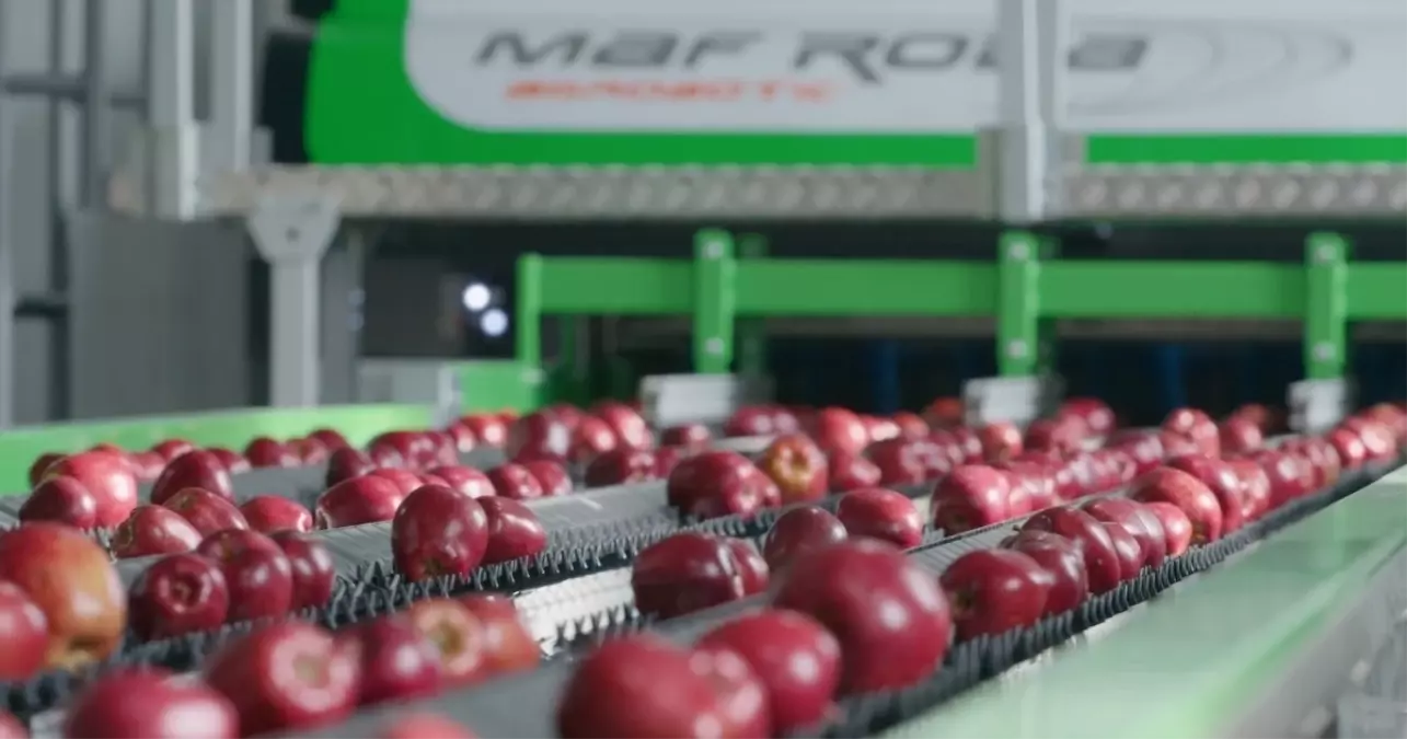 egemas mke 60 yasinda ihracat hedeflerini buyutuyor hnyFvbxy