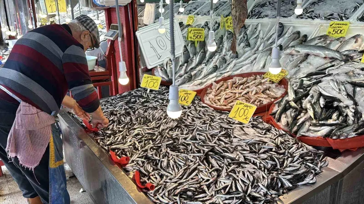 karabukte hamsi bereketi kilo 100 tl UflKjbzA.jpg