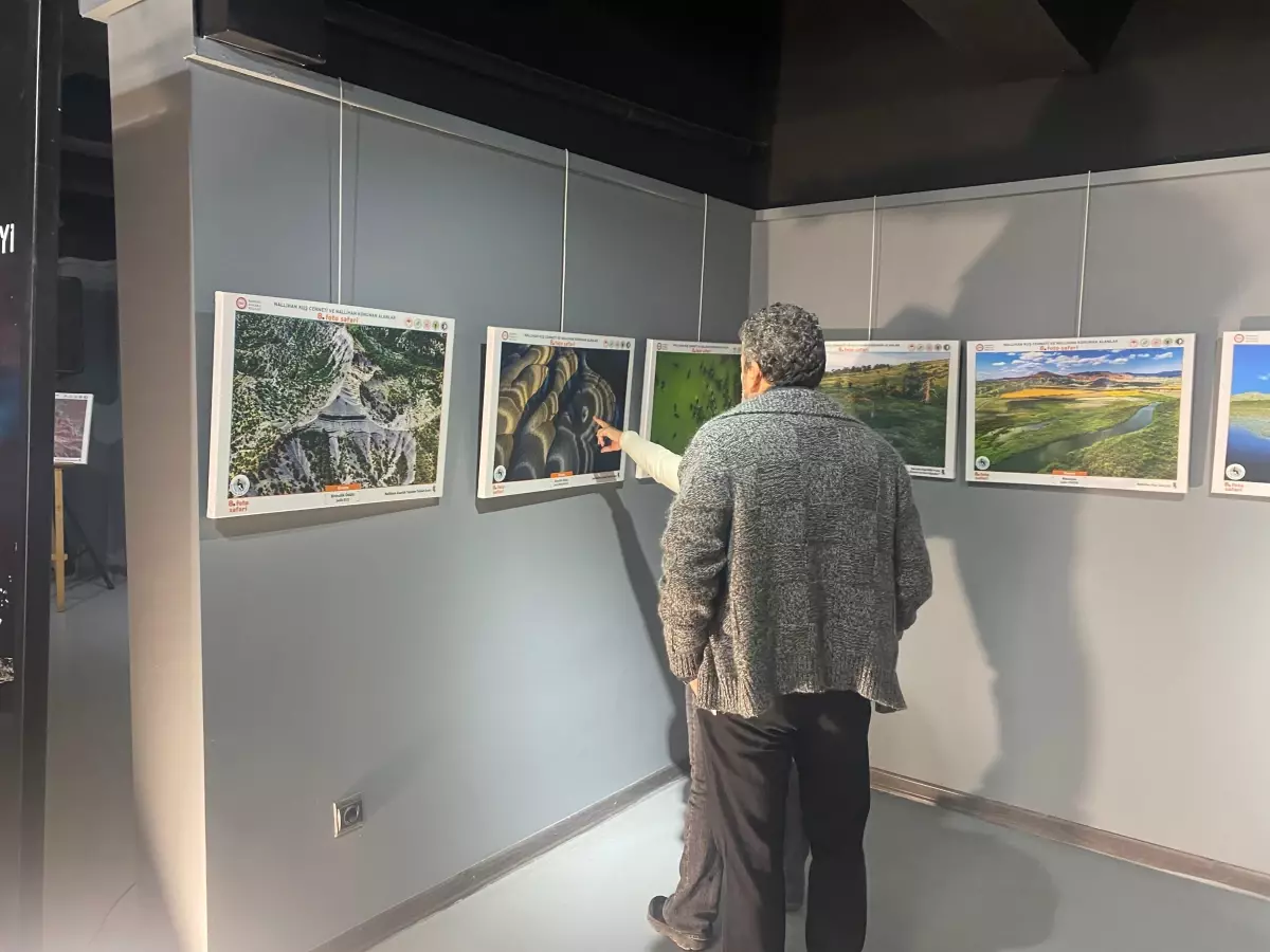 nallihan kus cennetinde foto safari sergisi acildi ZywR7w8O