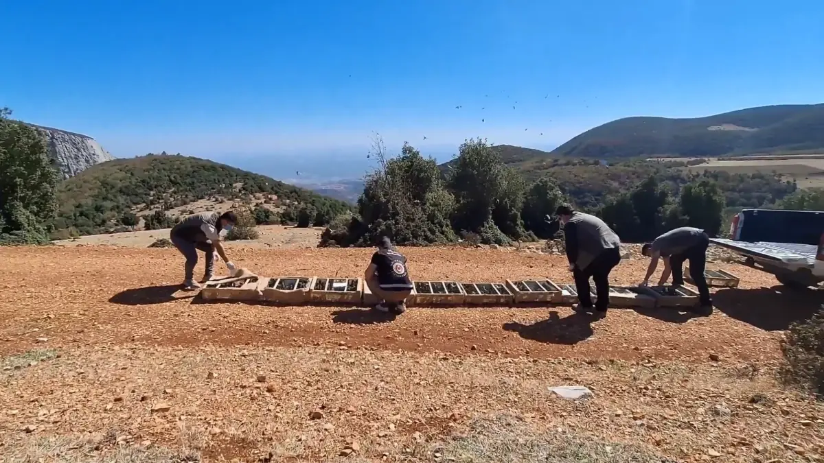 yasa disi kus kacakciligina 109 milyon tl ceza rT7aPpqy.jpg