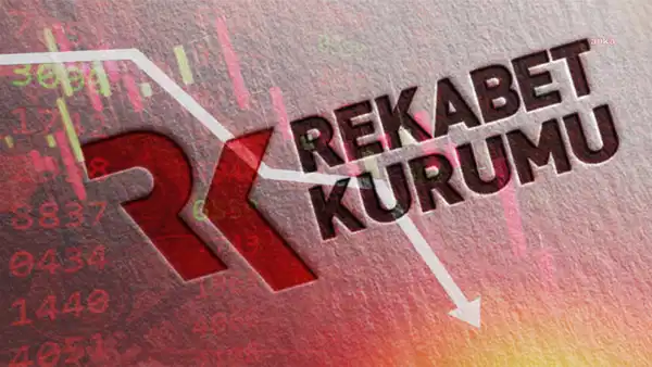 Bahçedeki Gizli Hazine: Milyarlarca Liralık Para Koleksiyonu